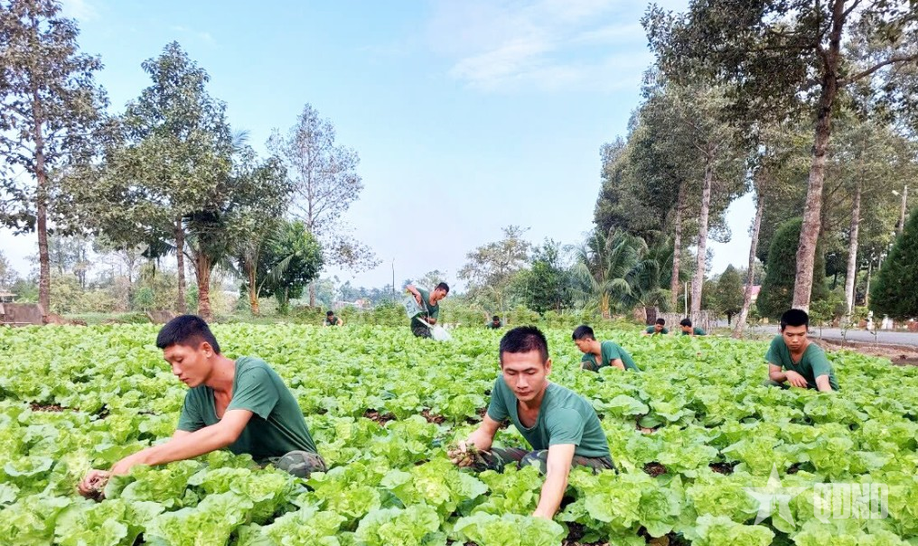 Ống kính bạn đọc: Khéo tay nuôi trồng